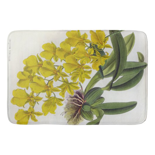 Oncidium concolor  Lindenia Orchids Badmat (Voorkant)