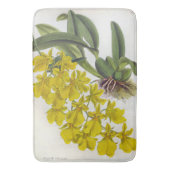 Oncidium concolor  Lindenia Orchids Badmat (Voorkant Verticaal)