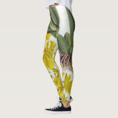 Oncidium concolor  Lindenia Orchids Leggings (Links)