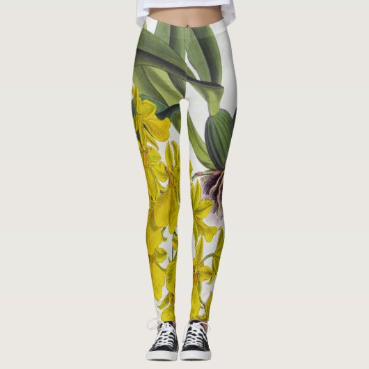 Oncidium concolor  Lindenia Orchids Leggings (Voorkant)