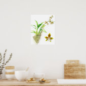 Oncidium Leucochilum fijnkunst orchidee aquarel Poster (Keuken)