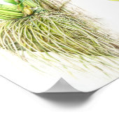 Oncidium Leucochilum fine art orchid waterverf Poster (Hoek)