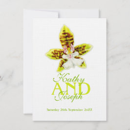 Oncidium Leucochilum orchidee bloem groen nodigen Kaart