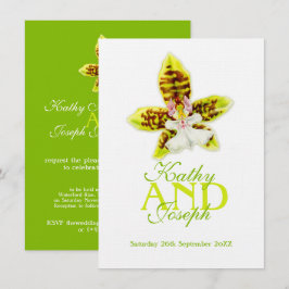 Oncidium Leucochilum orchidee bloem groen nodigen Kaart