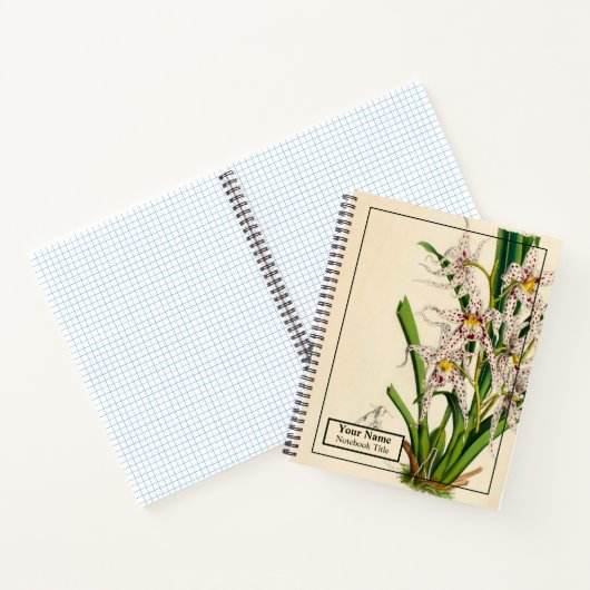  Oncidium Naevium Orchid Notitieboek (Binnen)