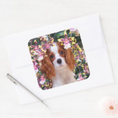 Oncidium Orchids Cavalier King Charles Stickers (Envelop)