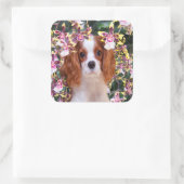 Oncidium Orchids Cavalier King Charles Stickers (Tas)