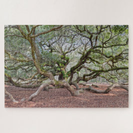 Onder Angel Oak, South Carolina Legpuzzel