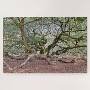 Onder Angel Oak, South Carolina Legpuzzel