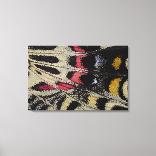 Onder close-up Bhutanitis mansfieldi Canvas Afdruk (Voorkant)