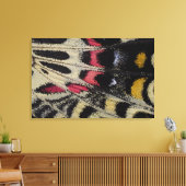 Onder close-up Bhutanitis mansfieldi Canvas Afdruk (Insitu (Woonkamer))