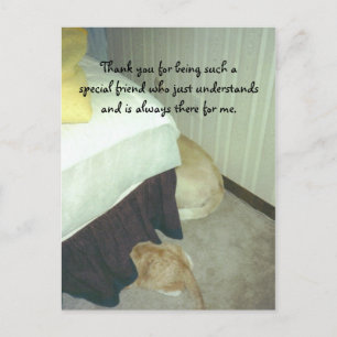 Onder de Bed Briefkaart