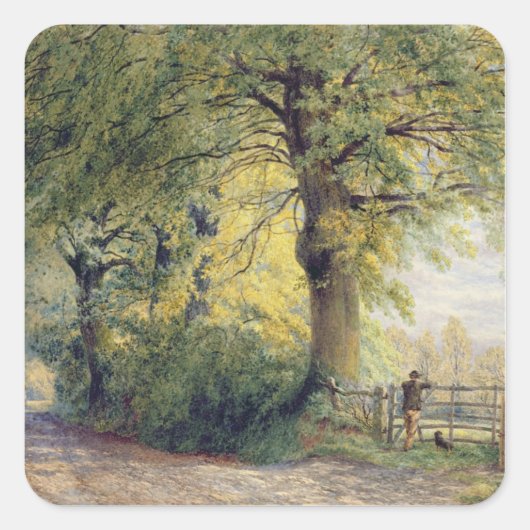 Onder de Beeches Vierkante Sticker (Voorkant)