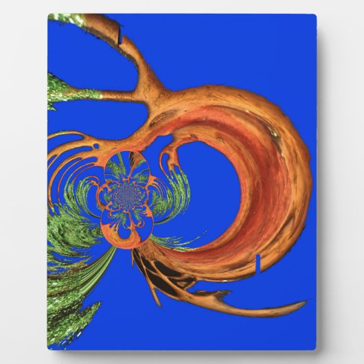 Onder de Blauwe Hemel: Het Acacia Tree Collectie Fotoplaat (Voorkant)