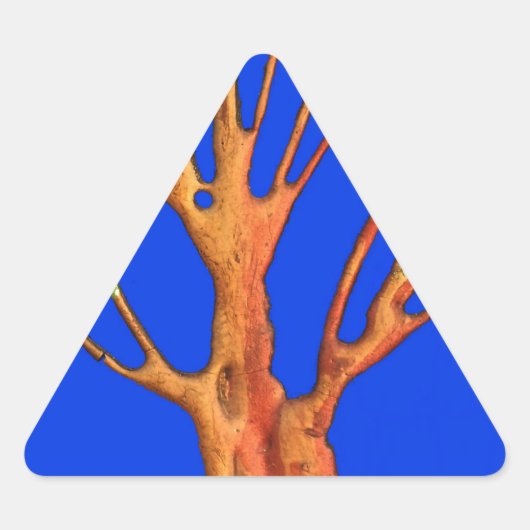 Onder de Blauwe Hemel: Het Acacia Tree Collectie Sticker (Voorkant)