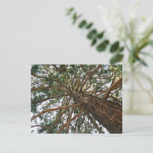 Onder de boom briefkaart (Staand voorkant)