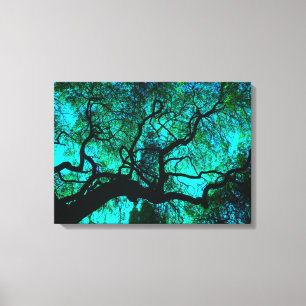 Onder de boom in Turquoise III Canvas Afdruk