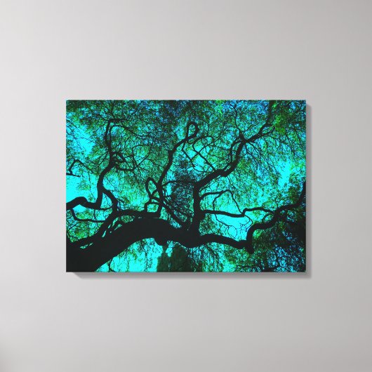 Onder de boom in Turquoise III Canvas Afdruk (Voorkant)