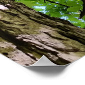 onder de boom poster (Hoek)