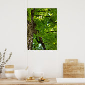 onder de boom poster (Keuken)