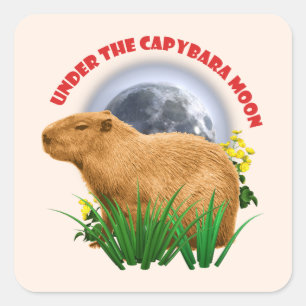 Onder de Capybara Maan Funny Capybara Vierkante Sticker