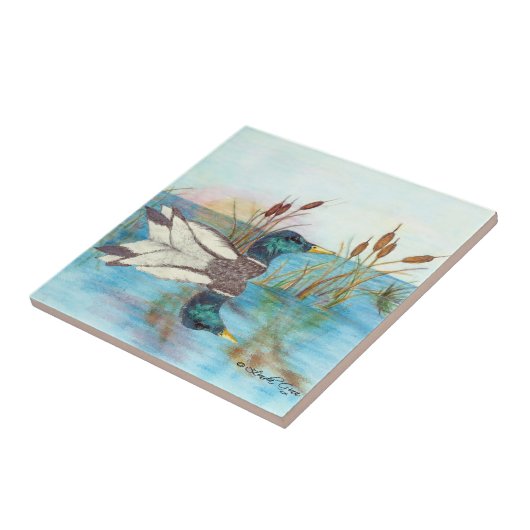 Onder de Cattails Tegeltje (Zijkant)