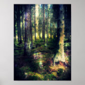 Onder de Fairies Poster (Voorkant)