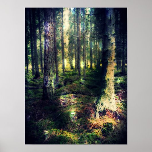 Onder de Fairies Poster (Voorkant)