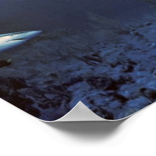 Onder de haaien poster (Hoek)