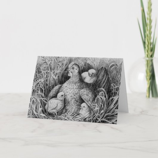 Onder de Kaart van de moedervleugel (Voorkant)