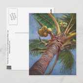 Onder de kokosstructuur briefkaart (Voorkant / Achterkant)