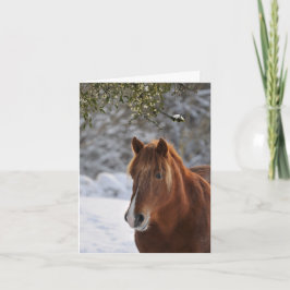 Onder de maretak, paardKerstmis Feestdagen Kaart