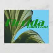Onder de Palm Tree Post Card Briefkaart (Voorkant)