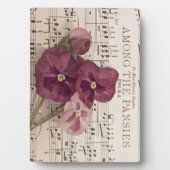 Onder de Pansies Fotoplaat (voorkant)