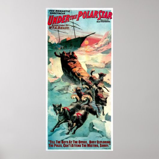 ONDER DE POLAIRE STAR POSTER (Voorkant)