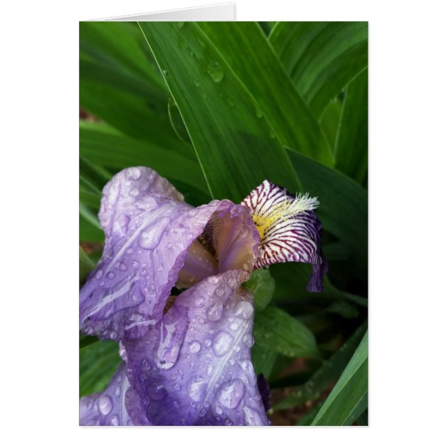 onder de regen (Voorkant)