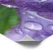 onder de regen poster (Hoek)