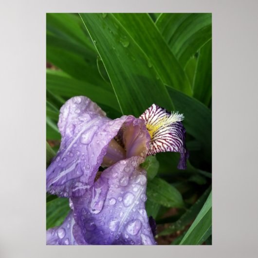 onder de regen poster (Voorkant)