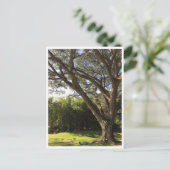 Onder de regenboom briefkaart (Staand voorkant)