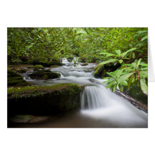 Onder de Rhododendrons-kaart