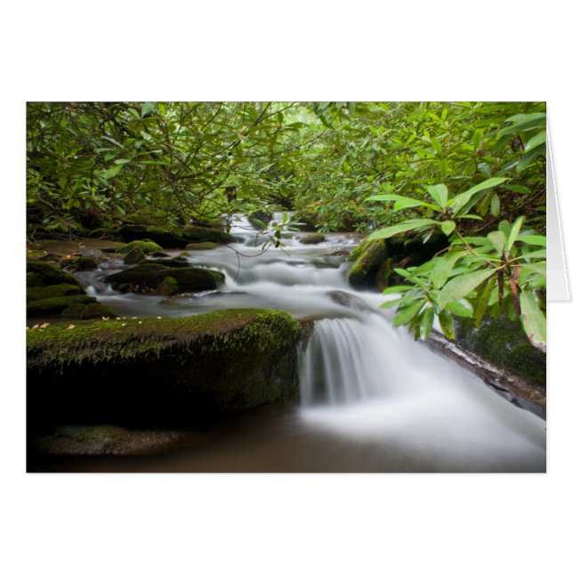 Onder de Rhododendrons-kaart (Voorkant Horizontaal)