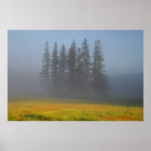 Onder de smog poster (Voorkant)