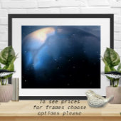 Onder de sterren poster