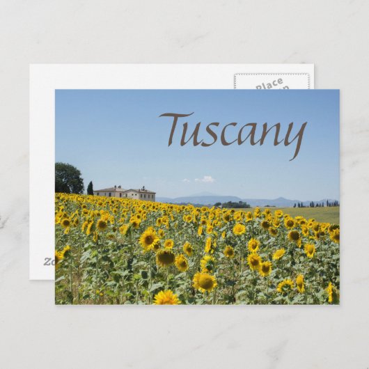 Onder de Toscaanse zon Briefkaart (Voorkant / Achterkant)