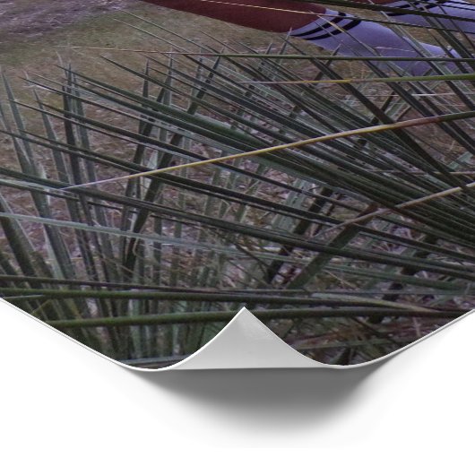 Onder de Yucca-Planten Poster (Hoek)