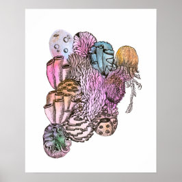 Onder de Zee 01 Poster