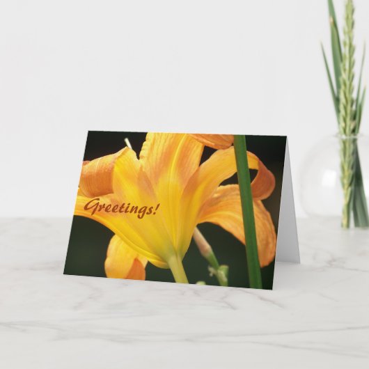 Onder de zon, Greetings. Kaart (Voorkant)