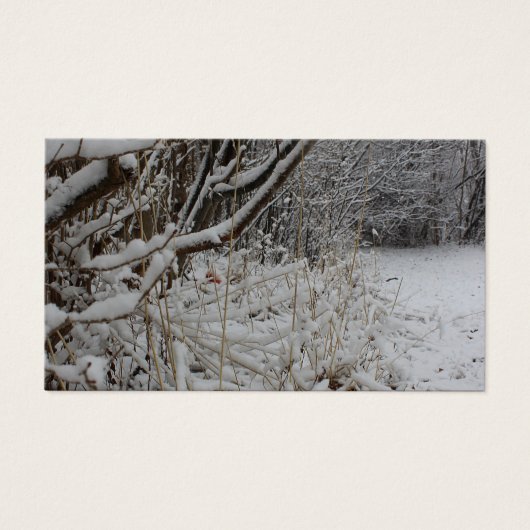 Onder een deken van sneeuw visitekaartje (Voorkant)