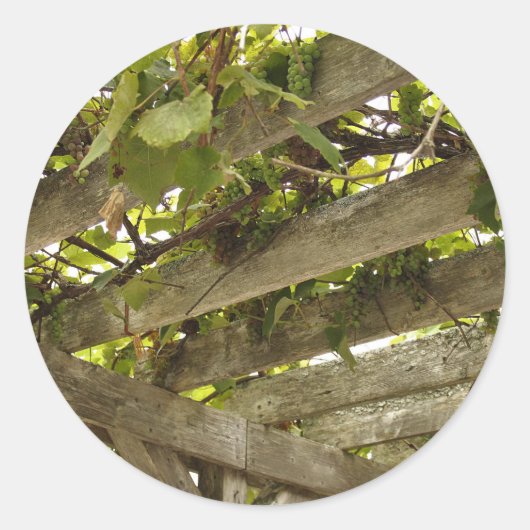 Onder een Luifel van Druiven Ronde Sticker (Voorkant)