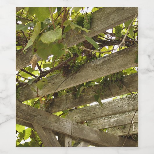 Onder een Luifel van Druiven Wijn Etiket (Enkel label)